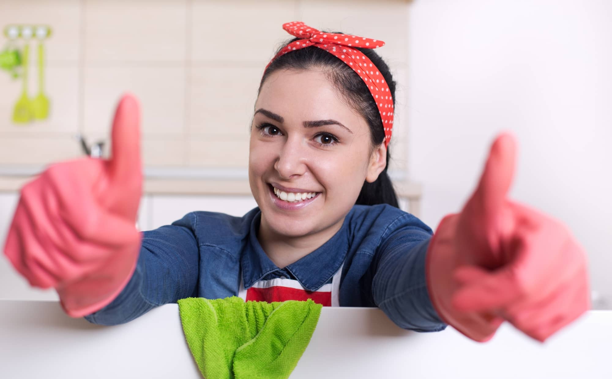 professional house cleaning service